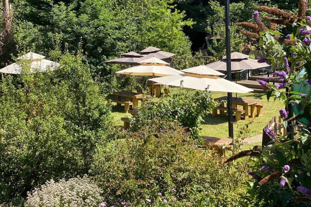 17Th Century Boutique Getaway In The Countryside Διαμέρισμα Martin Mill Εξωτερικό φωτογραφία